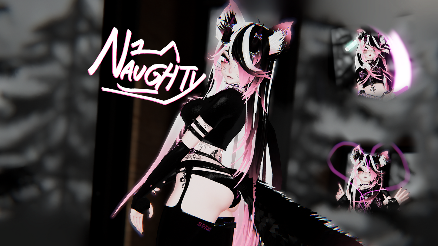 ╭┈ヾNaughty, The Discord Kitten 🥵 🐾