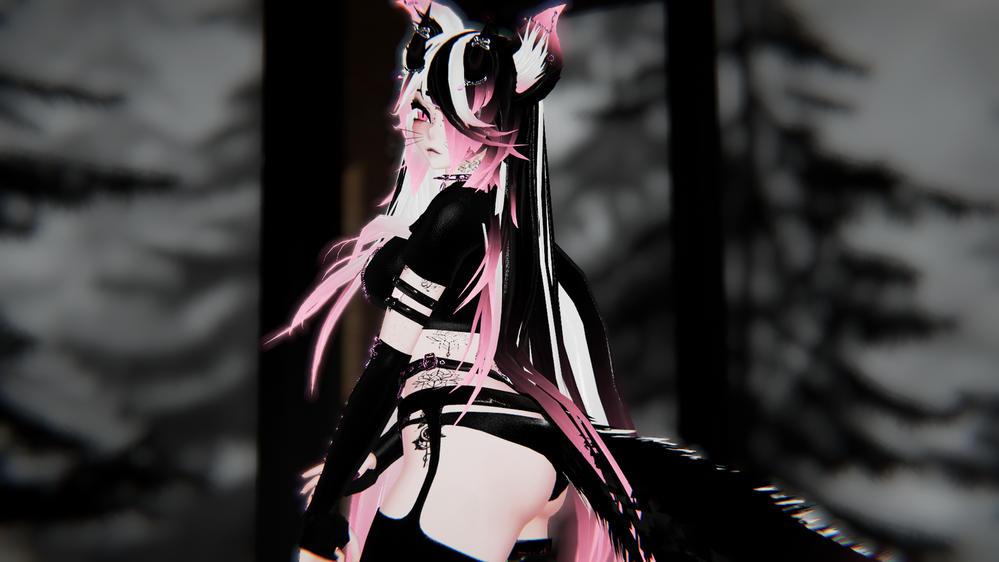 ╭┈ヾNaughty, The Discord Kitten 🥵 🐾