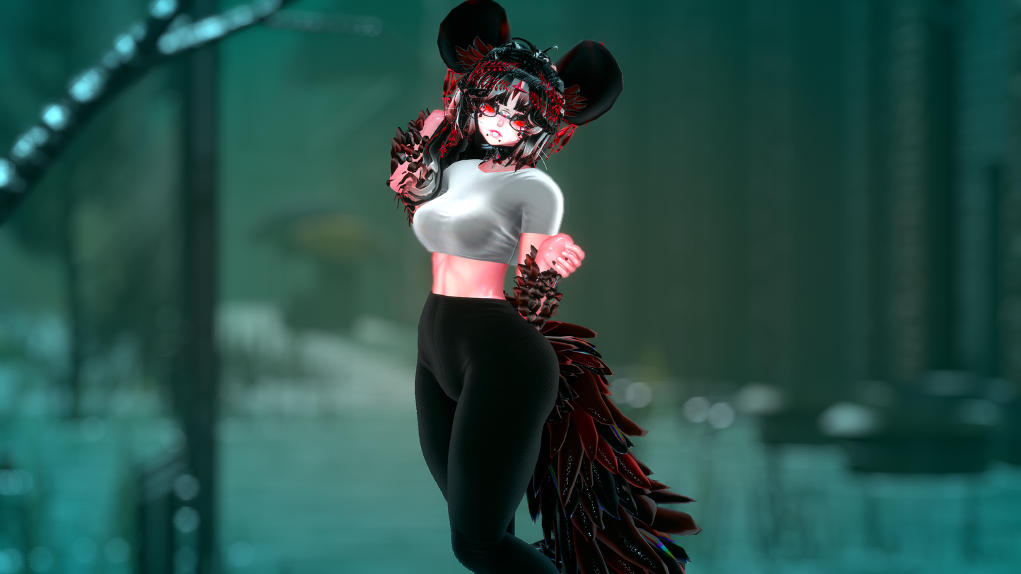 ╭┈ヾNovi The Chinchilla 🐭