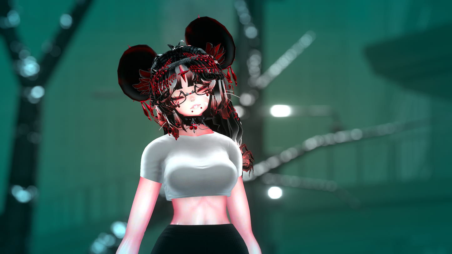 ╭┈ヾNovi The Chinchilla 🐭