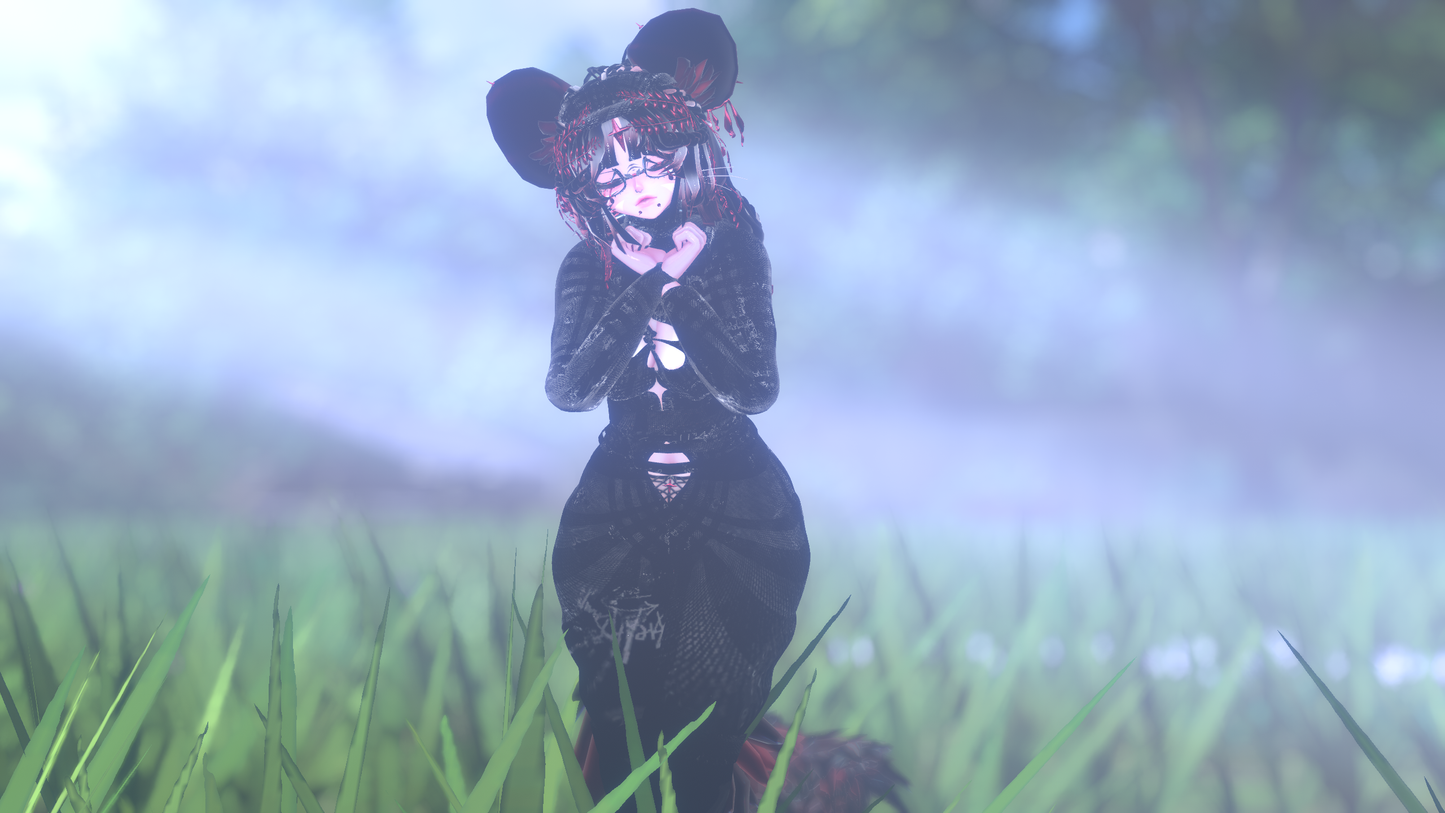╭┈ヾNovi The Chinchilla 🐭