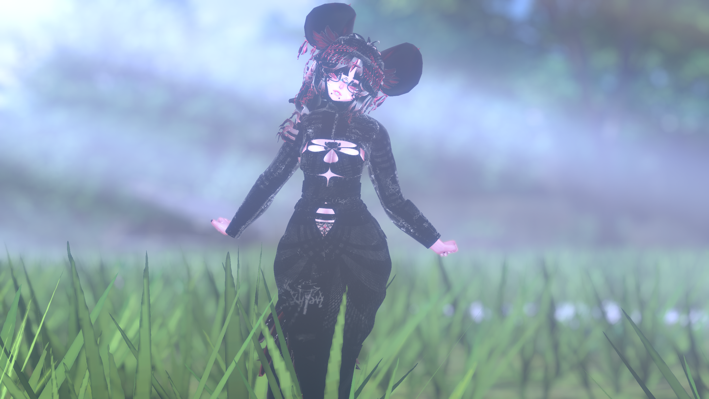 ╭┈ヾNovi The Chinchilla 🐭