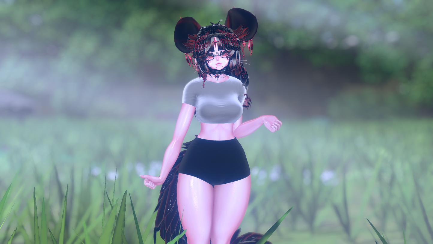 ╭┈ヾNovi The Chinchilla 🐭
