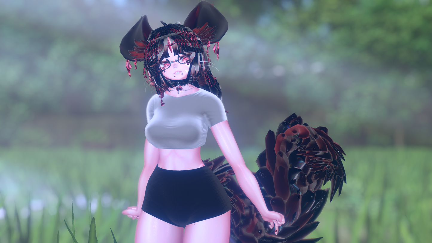 ╭┈ヾNovi The Chinchilla 🐭