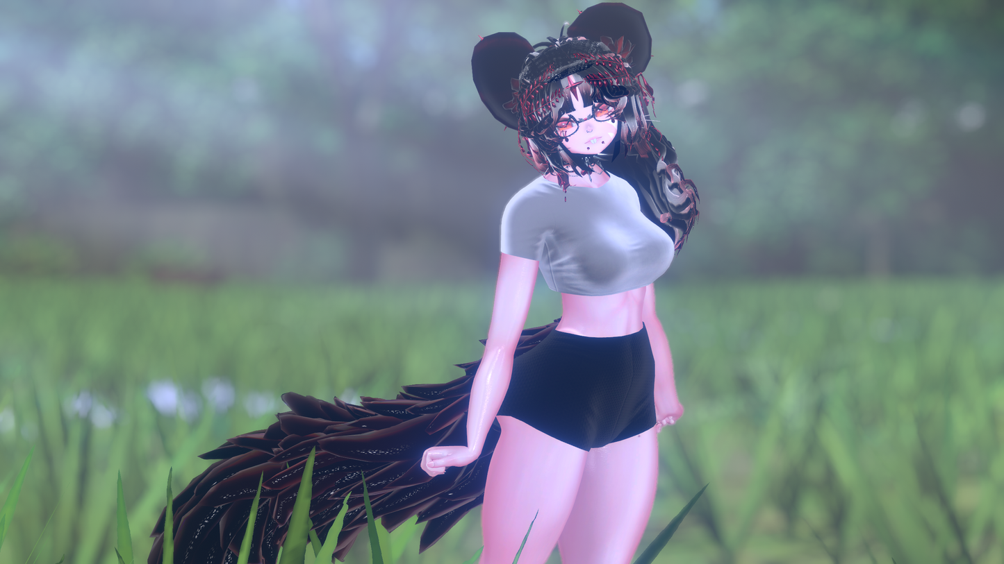 ╭┈ヾNovi The Chinchilla 🐭