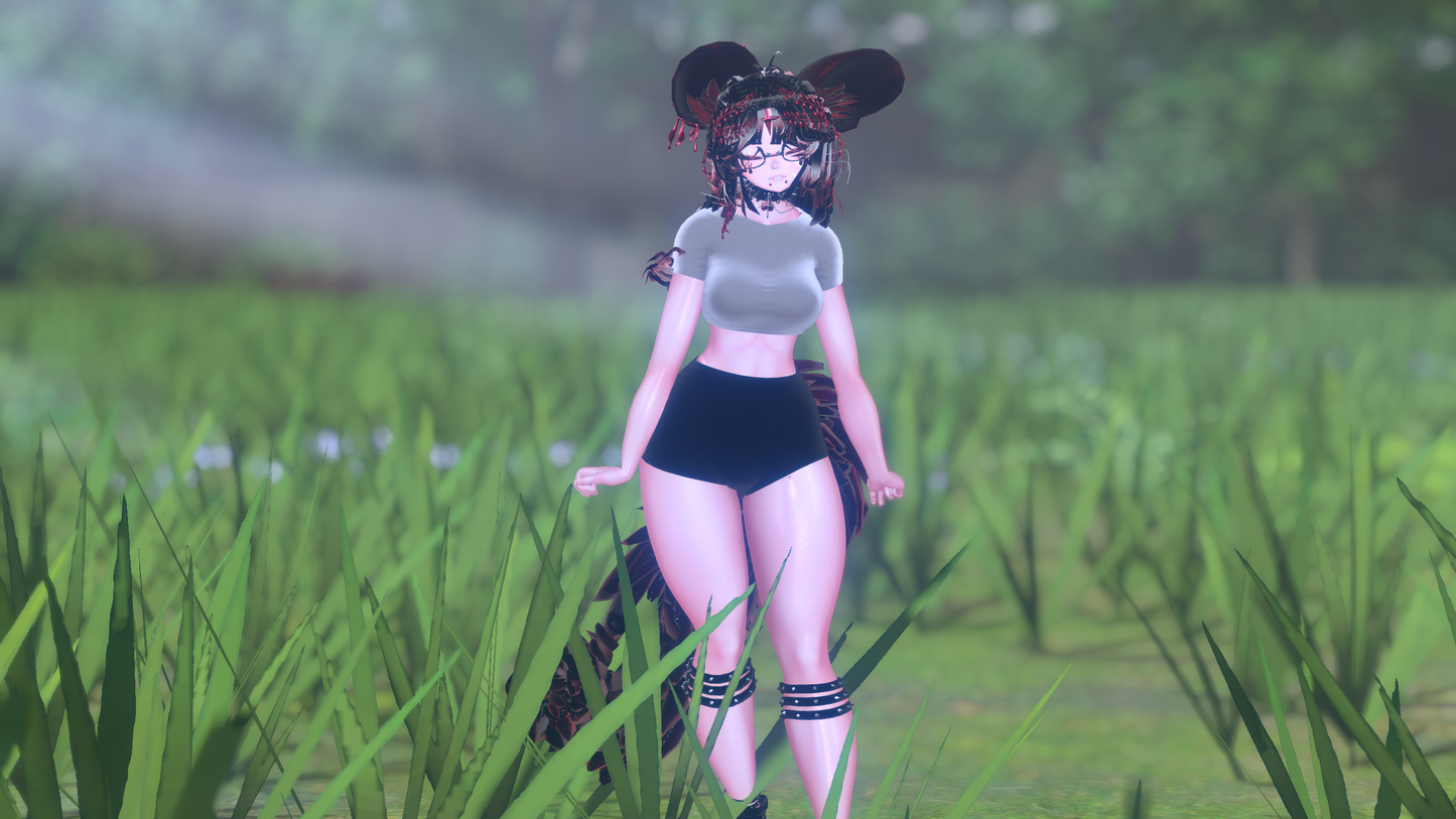 ╭┈ヾNovi The Chinchilla 🐭