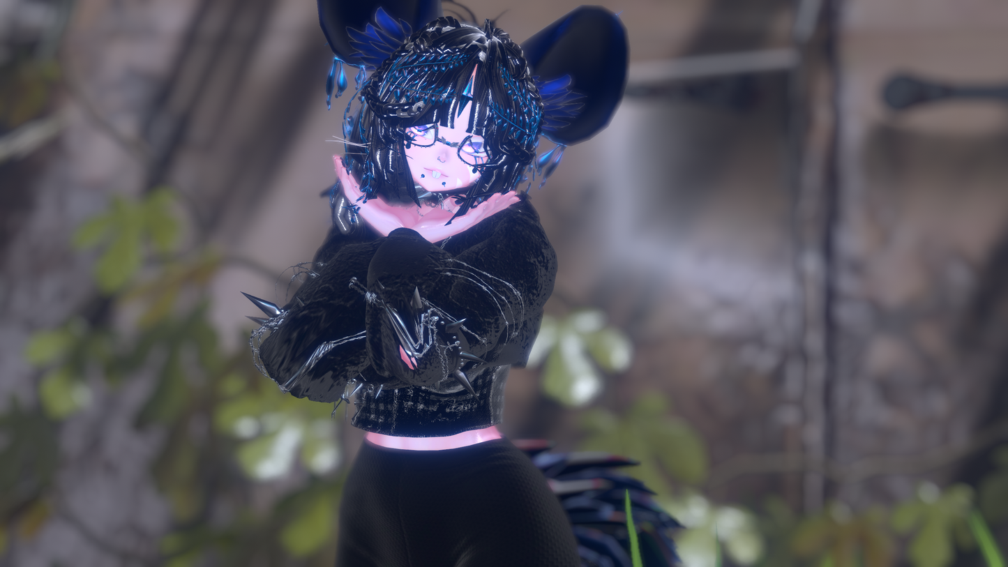 ╭┈ヾNovi The Chinchilla 🐭