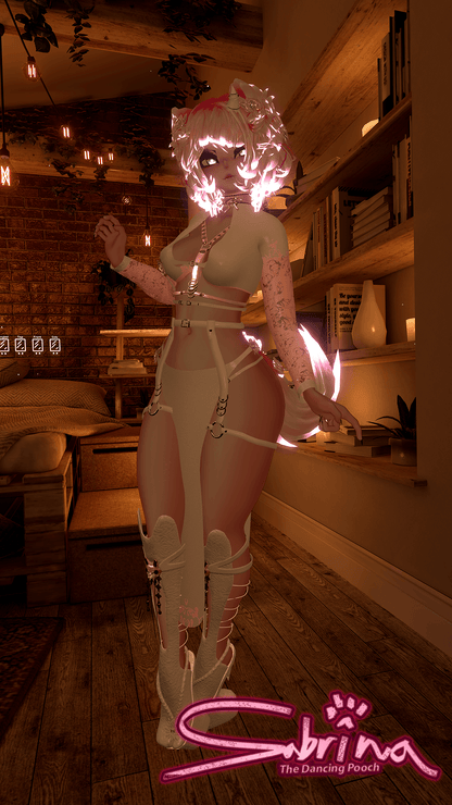 ╭┈ヾSabrina, The Dancing Pooch 🐕 | GOGOLOCO | VRCFURY | SPS + TPS | PHYSBONES | Personal License Only | Face Tracking (VRCHAT) | Warudo (ARKIT + VRM) | PC + QUEST - DippinDotty