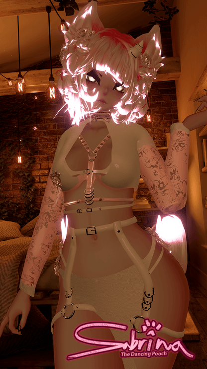 ╭┈ヾSabrina, The Dancing Pooch 🐕 | GOGOLOCO | VRCFURY | SPS + TPS | PHYSBONES | Personal License Only | Face Tracking (VRCHAT) | Warudo (ARKIT + VRM) | PC + QUEST - DippinDotty