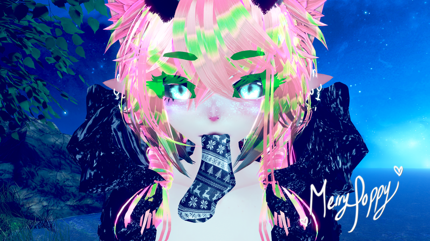 ╭┈ヾMerry Poppy🎄