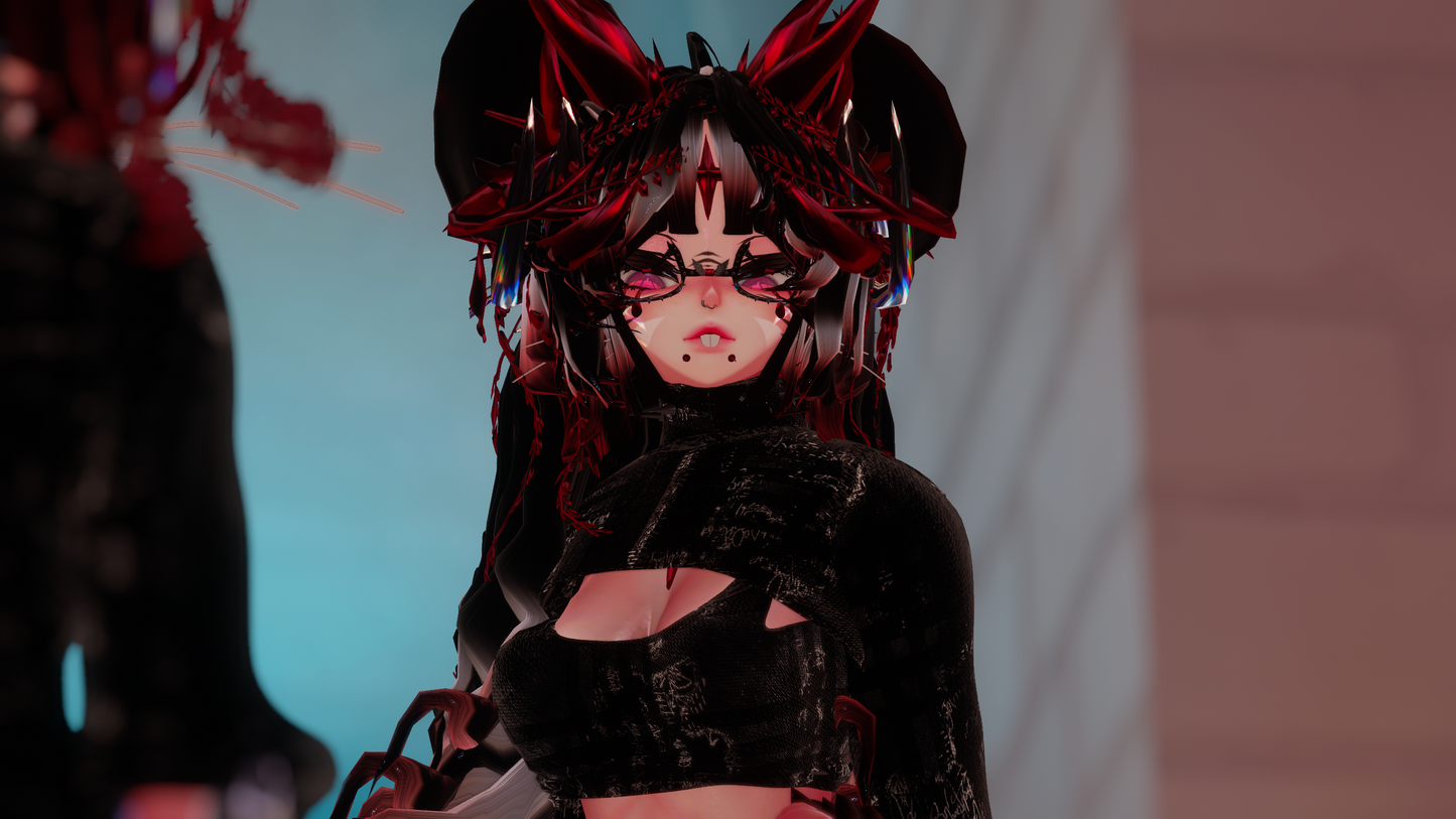 ╭┈ヾNovi The Chinchilla 🐭