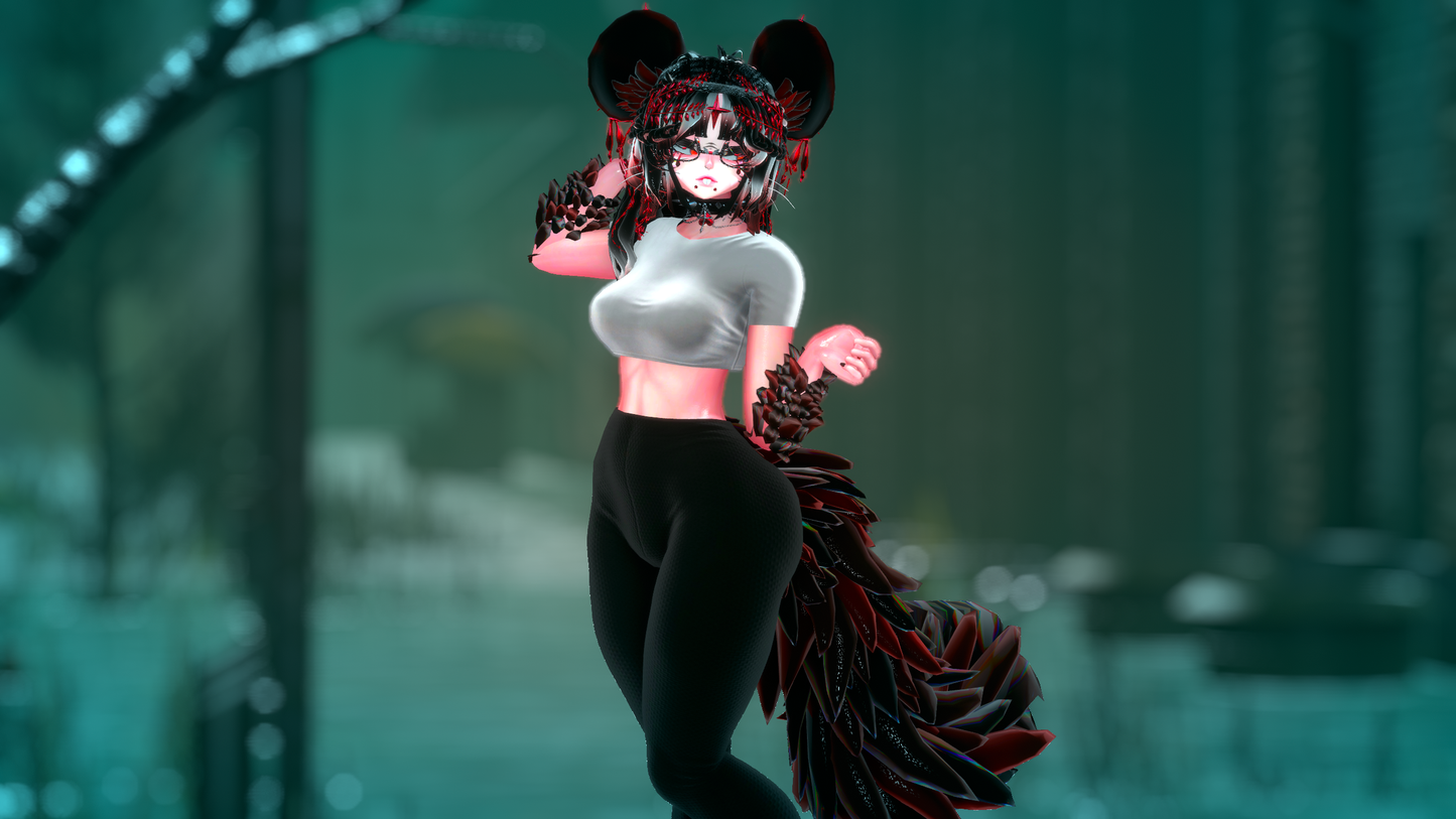 ╭┈ヾNovi The Chinchilla 🐭