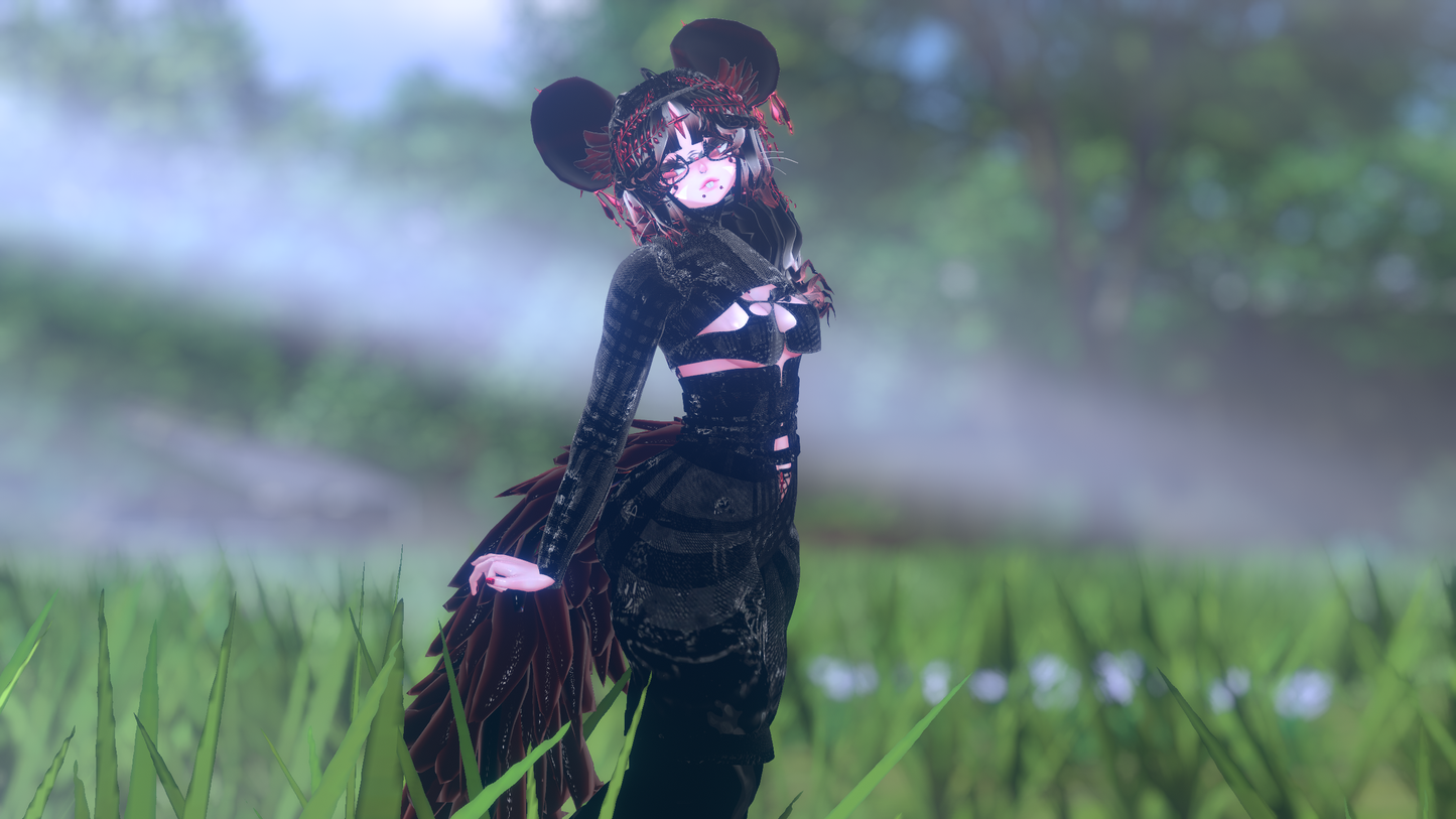 ╭┈ヾNovi The Chinchilla 🐭