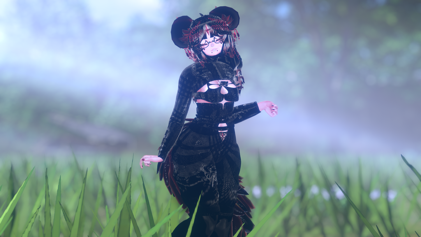 ╭┈ヾNovi The Chinchilla 🐭