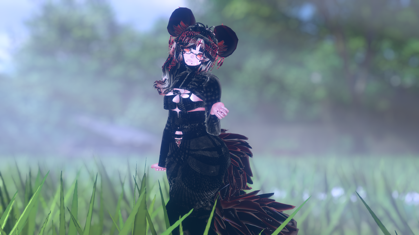 ╭┈ヾNovi The Chinchilla 🐭
