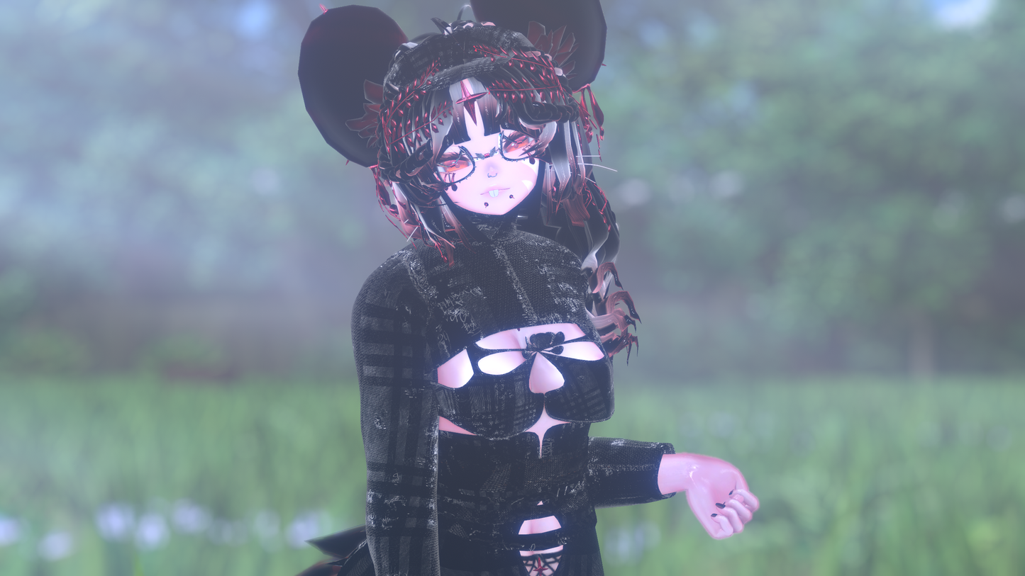 ╭┈ヾNovi The Chinchilla 🐭