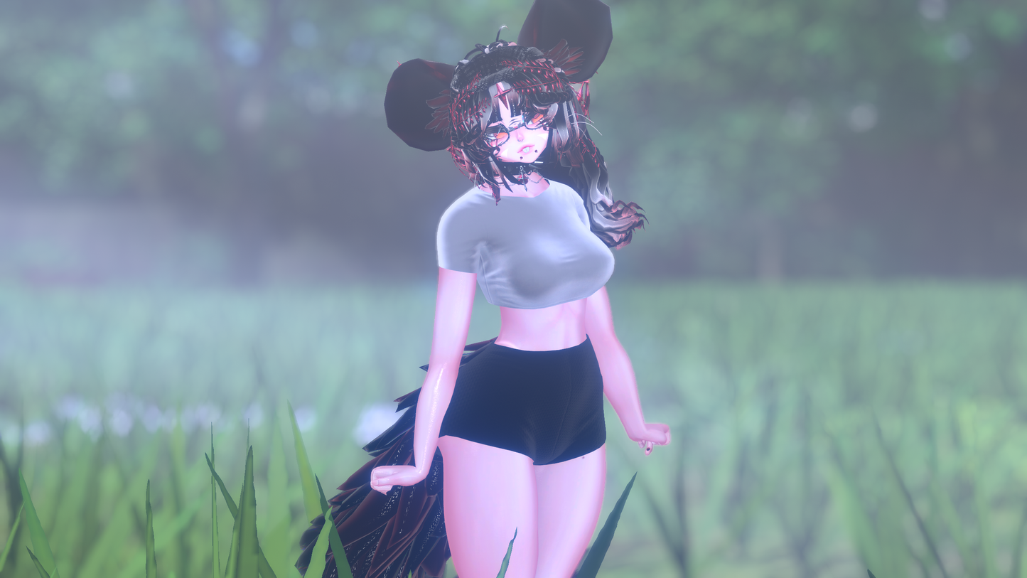 ╭┈ヾNovi The Chinchilla 🐭