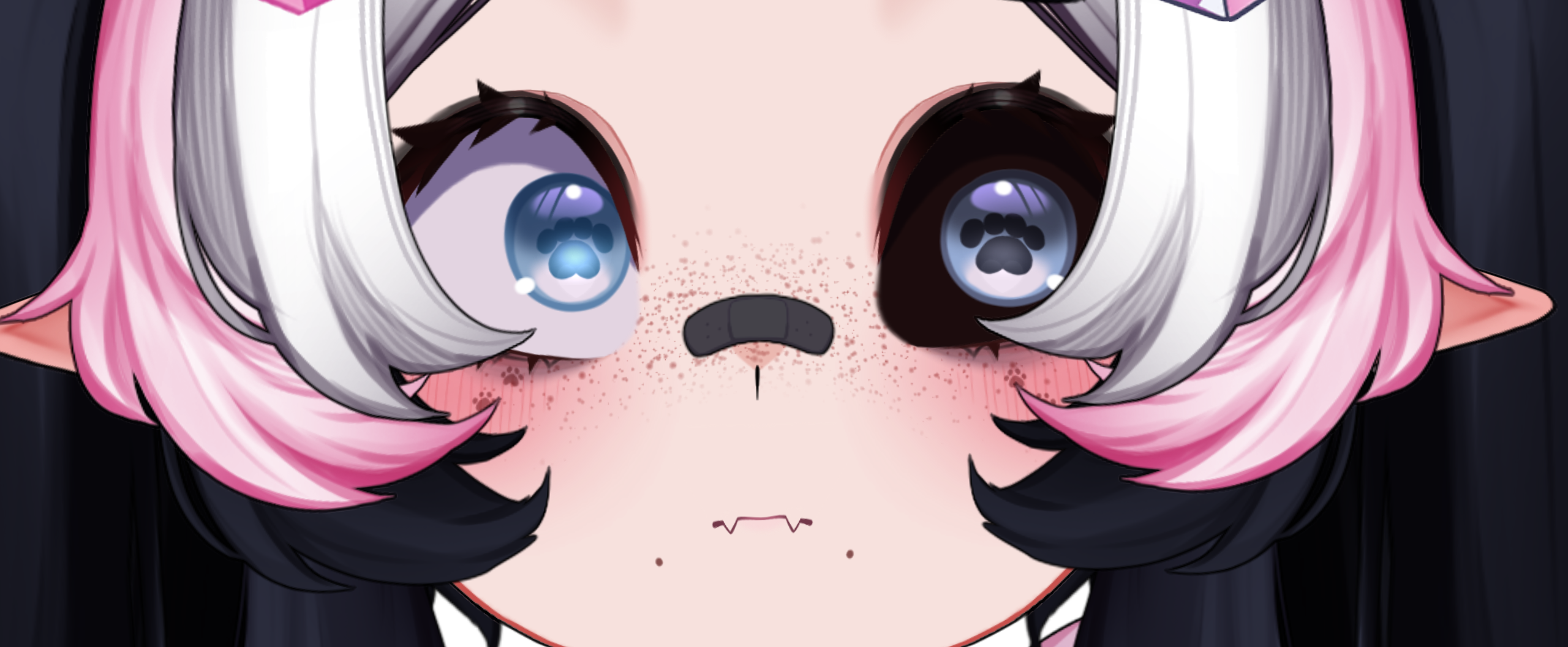 Load video: Click here to see dotty's lore video!